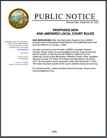 Proposed New and Amended Local Court Rules